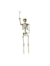 SKELETT  BEWEGLICH 212CM