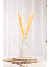BOUQUET 6 TIGES HERBE DE PAMPA JAUNE 65-75CM