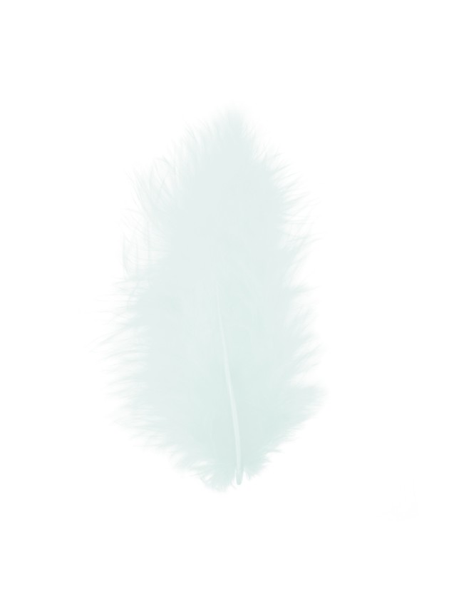5 PLUMES VERT PASTEL 10-15CM