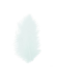 5 PLUMES VERT PASTEL 10-15CM