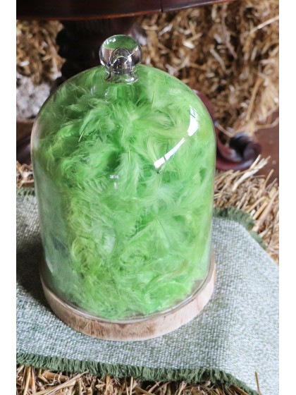 BOITE PLUMES VERT LIME 100G