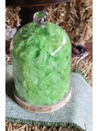 BOITE PLUMES VERT LIME 100G