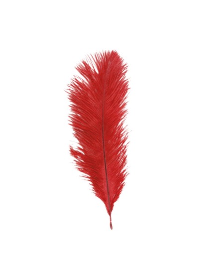 BEUTEL 5 STRAUSSENFEDER ROT 20-25CM