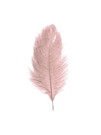 BEUTEL 5 STRAUSSENFEDER ALT ROSA 20-25CM