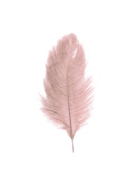 SACHET 5 PLUMES AUTRUCHE VIEUX ROSE 20-25CM