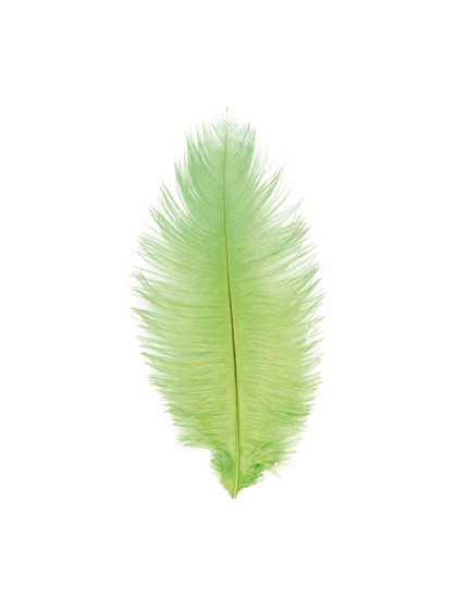 BEUTEL 2 STRAUSSENFEDER GRÜN LIME 30-35CM