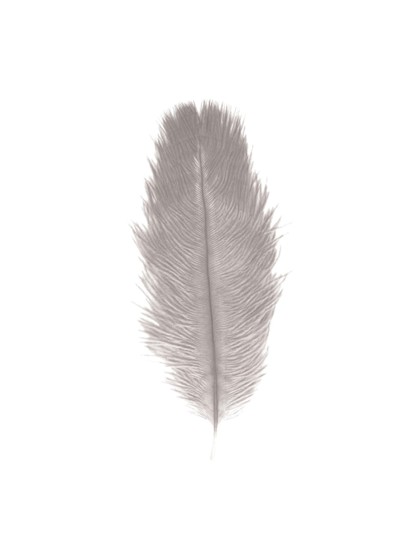 SACHET 2 PLUMES AUTRUCHE GRIS CLAIR 30-35CM