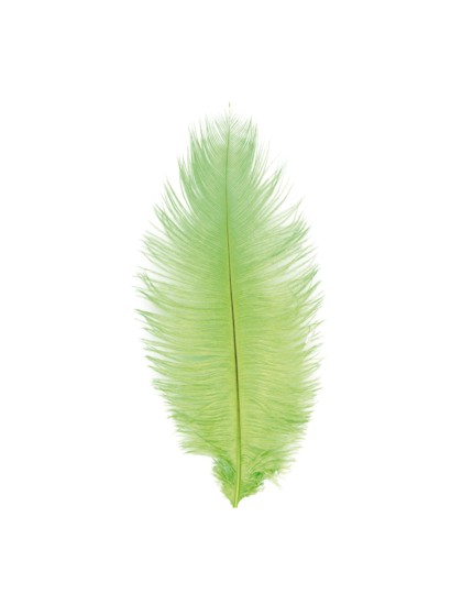 1 PLUME AUTRUCHE VERT LIME 55-60CM
