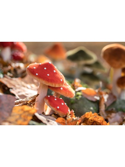 3 RED MUSHROOMS ON FOAM BASE 14CM X 10.5 X 17CM