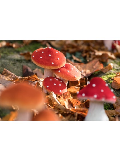 3 CHAMPIGNONS ROUGES SUR SOCLE MOUSSE 14CM X 10.5 X 17CM