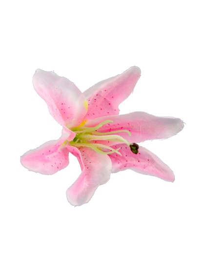 SACHET 6 FLEURS TROPICALES ROSE 13CM X 12CM