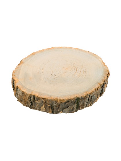 WOODEN LOG W/ BARK 26CM X 4CM