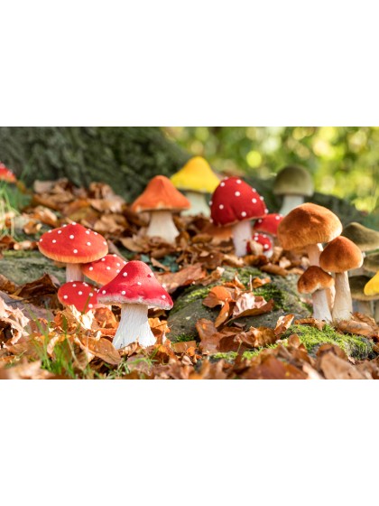 RED MUSHROOM ON MOSS BASE 9.5CM X 9.5CM X 13CM