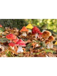 RED MUSHROOM ON MOSS BASE 9.5CM X 9.5CM X 13CM