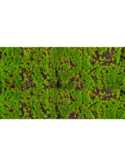 MOSS TABLE RUNNER 25CM X 1M