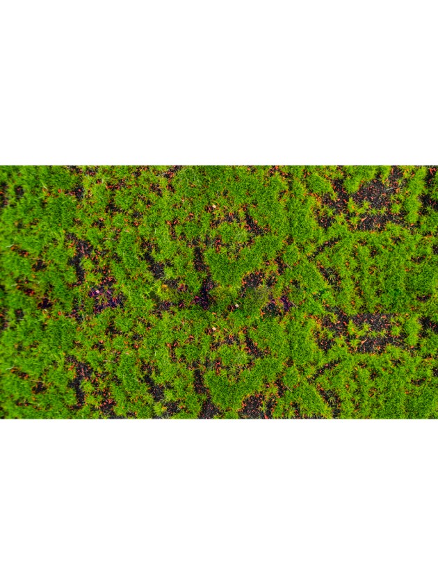 CHEMIN DE TABLE MOUSSE 25CM X 1M