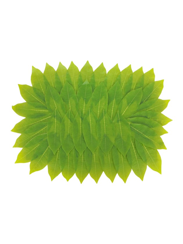 CENTRE DE TABLE FEUILLES PACHIRA 60CM X 45CM