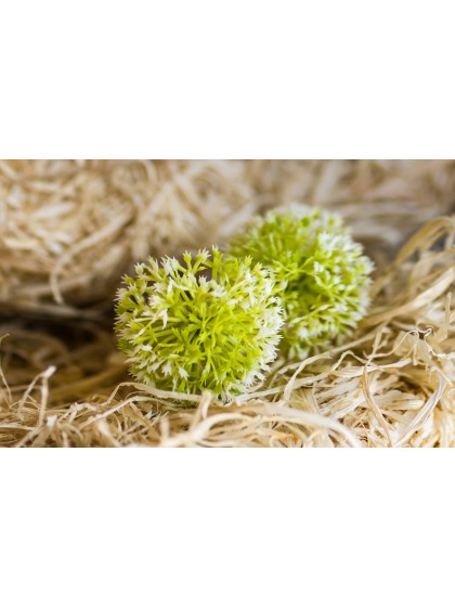 LOT 6 BOULES DECO HERBE DIA 8CM