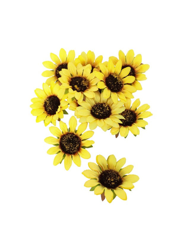 LOT 12 TOURNESOLS DIA 8CM X 1.5CM