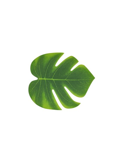 SET 4 TROPICAL LEAVES 21CM X 18CM