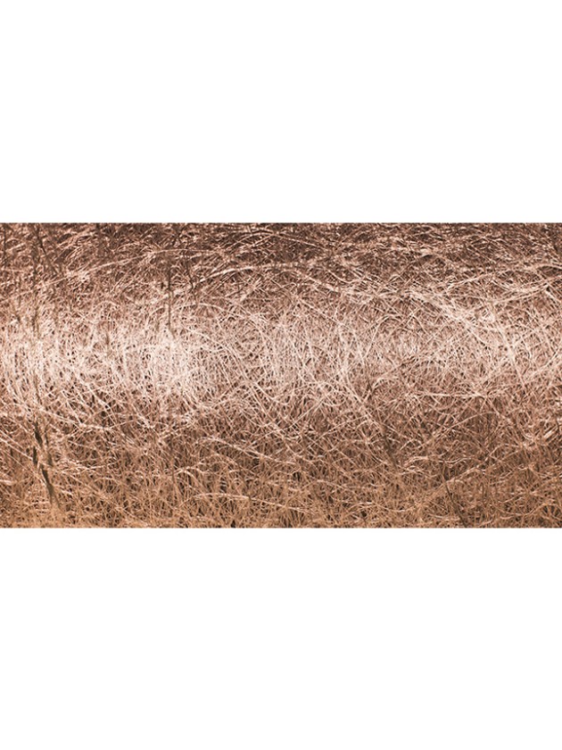 BAND DEKO BRILLANCE GOLD ROSA 10CM X 10M