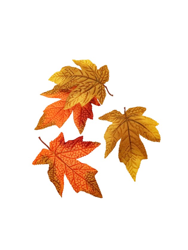 12 MAPLE LEAVES IN FABRIC 14CM X 10CM