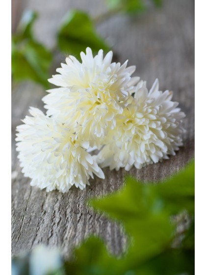 BUNCH OF 6 DAHLIA WHITE 26CM