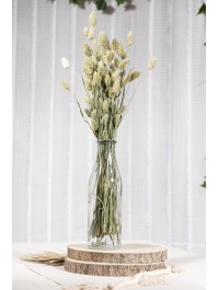 BOUQUET PHALARIS NATUREL VERT ENV 130GR ENV 70CM