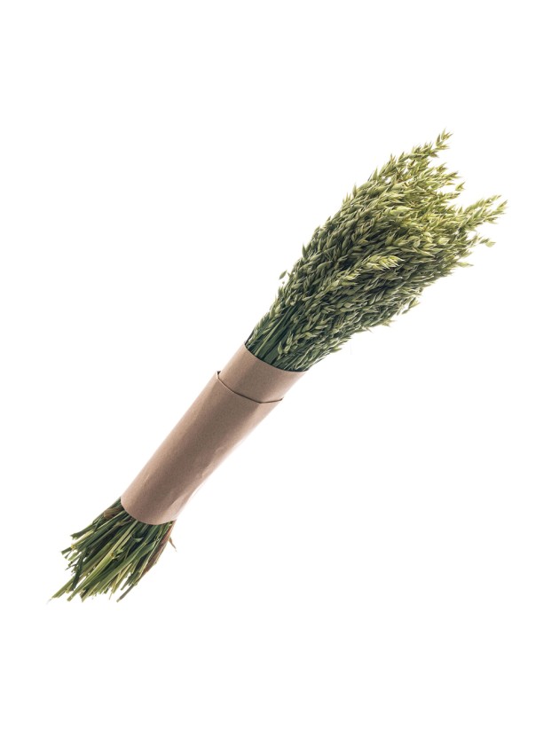 BUNCH HAVER AVENA NATURAL GREEN +/-180 GR +/-65CM