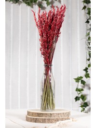 BOUQUET AVOINE ROUGE ENV 65GR ENV 65CM