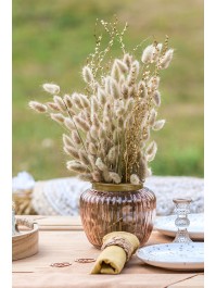 BOUQUET 25 TIGES LAGURUS NATUREL 50-60CM