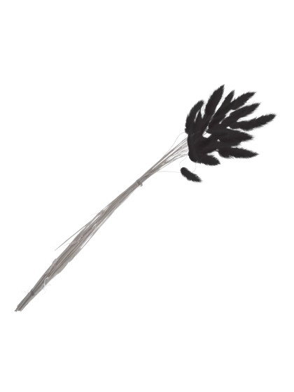 BLUMENSTRAUSS 25 STIELE HASENSCHWANZGRAS SCHWARZ 50-60CM