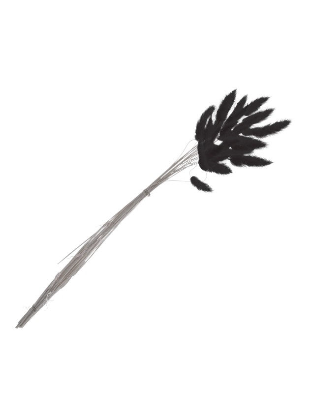 BLUMENSTRAUSS 25 STIELE HASENSCHWANZGRAS SCHWARZ 50-60CM
