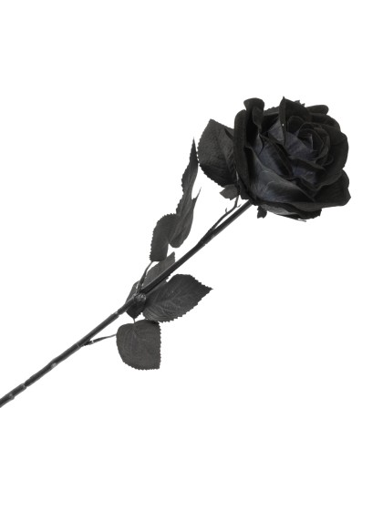 HALLOWEEN BLACK ROSE STEM 65CM