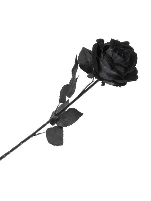 HALLOWEEN BLACK ROSE STEM 65CM