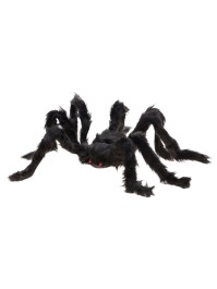 SPINNE BEHAART SCHWARZ 50CM X 12CM X 5CM