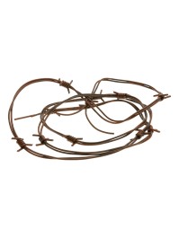 RUSTY EFFECT WIRE 2.5M