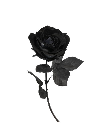 STIEL ROSA SCHWARZ LUXUS HALLOWEEN 66CM