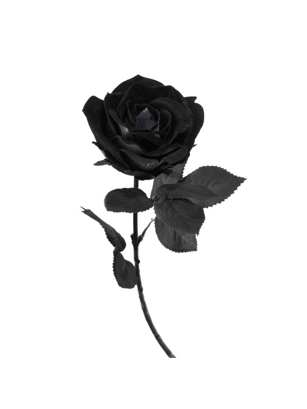 HALLOWEEN DELUXE BLACK ROSE STEM 66CM
