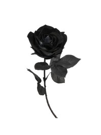 STIEL ROSA SCHWARZ LUXUS HALLOWEEN 66CM