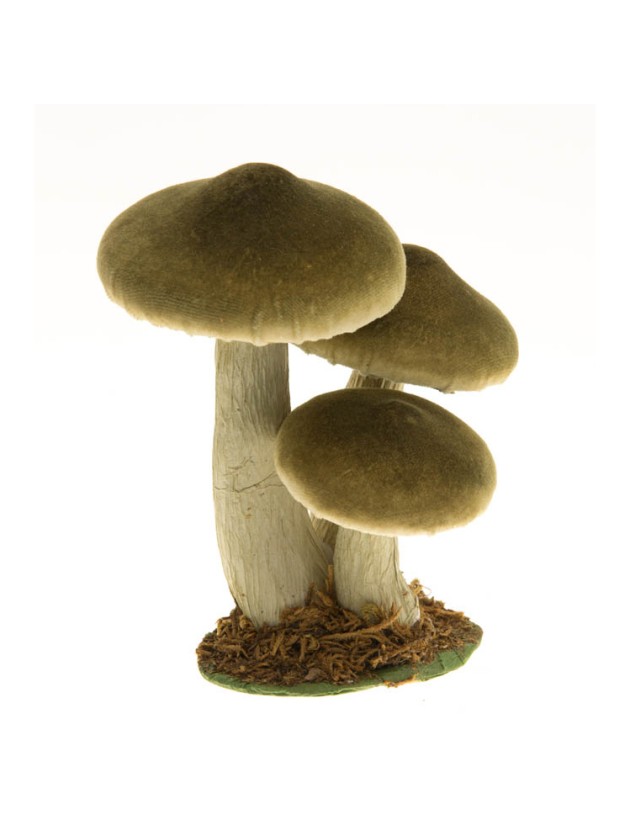 3 FOREST GREEN MUSHROOMS ON MOSS BASE 12CM X 14CM X 17CM