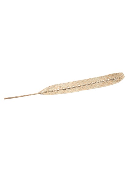 BLATT DATTIER TRESSEE SECHEE 8CM X 100CM