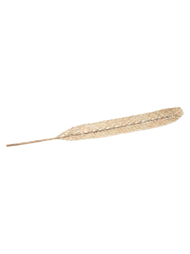 BLATT DATTIER TRESSEE SECHEE 8CM X 100CM