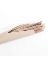 BLUMENSTRAUSS REED BUNCH NATUR CA. 57GR CA. 77CM