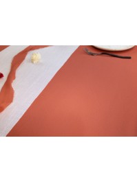 TERRACOTTA TOUCH OF WIND TABLECLOTH 140CM X 240CM