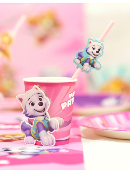8 BECHER 3D 250ML PLASTIC FREE PAW PATROL © DIA 5.2CM X 8.8CM / DIA HAUT 7.5CM