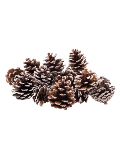 BAG 100GR SNOWY PINE CONES 4CM