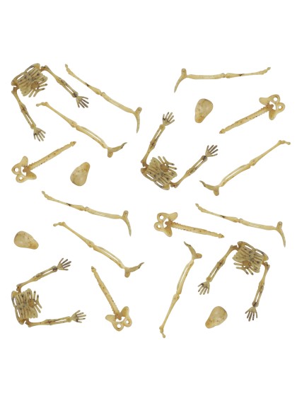 LOT 20 MINI OS DE SQUELETTE PLASTIQUE +/- 9CM