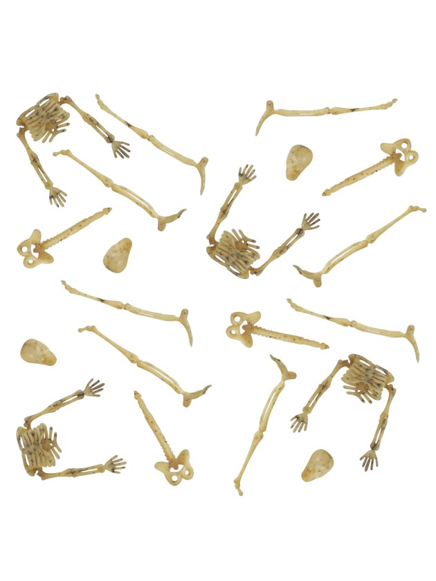 LOT 20 MINI OS DE SQUELETTE PLASTIQUE +/- 9CM