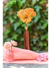 SOLIFLORE SAMBA TANGERINE DIA 5CM X 14.5CM